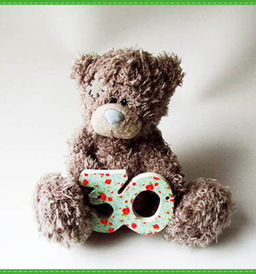 OSITO GRIS 30 AÑITOS