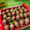 Fresas Bañadas en Chocolate: Un Delicioso Bocado de Lujo