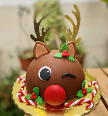 MINI TORTA MEDIA ESFERA DE RENO