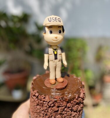 Descubre nuestras mini tortas decoradas con temáticas profesionales para celebrar tus logros y pasiones.