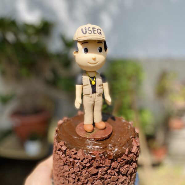 Descubre nuestras mini tortas decoradas con temáticas profesionales para celebrar tus logros y pasiones.