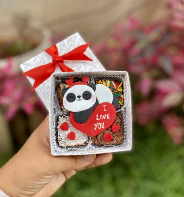 MINI FOUR: PANDITA ❤️