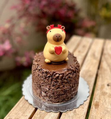 TROCITOS CAPIBARA ❤️