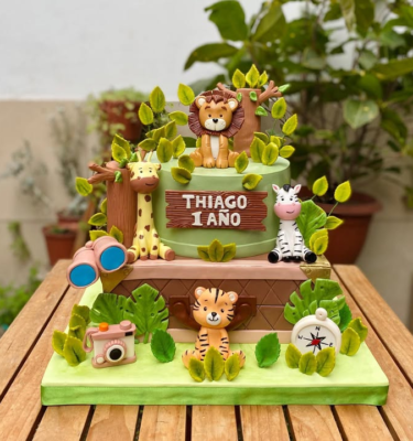 SAFARI EXPLORADOR 🦓