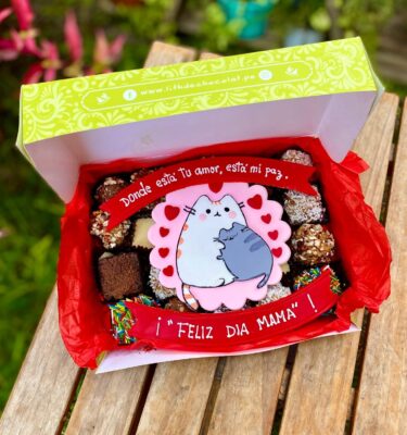 Caja surtida con brownies, trufas y alfajores variados, decorada con topper de fondant de una mamá gato abrazando a su bebé gato.