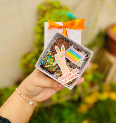 MINI FOUR COLORFUL 🏳️‍🌈