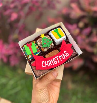 MINI SIX NAVIDAD 🎅🏻