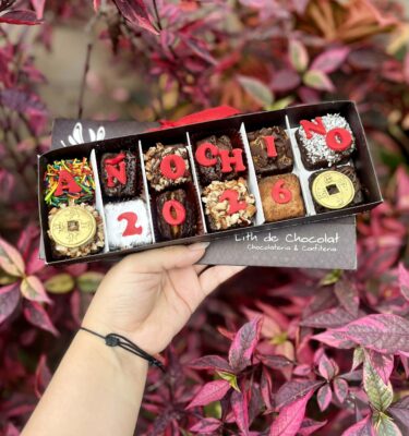 VINTAGE AÑO CHINO 2026 🉐